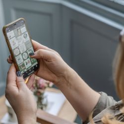 Instagram Audit for Small Business Owners